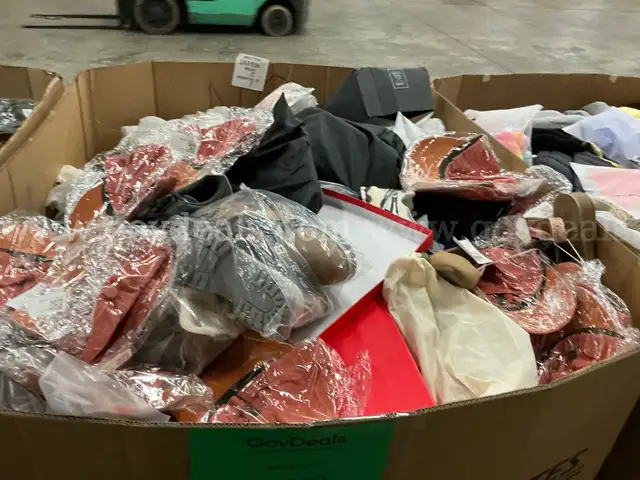 Apparel: Manually Sorted &#x22;Shoes, Handbags and Totes&#x22; (DEC25-0939X)