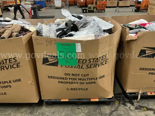 Apparel: Manually Sorted "Shoes, Handbags and Totes" (DEC25-1037X)