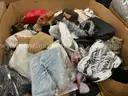 Apparel: Manually Sorted "Shoes, Handbags and Totes" (DEC25-1065X)