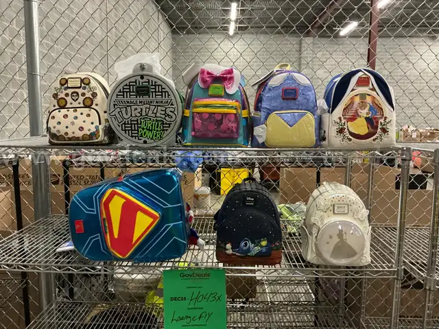 Apparel: " Lounge Fly Backpacks & Bags (DEC25-H043X)