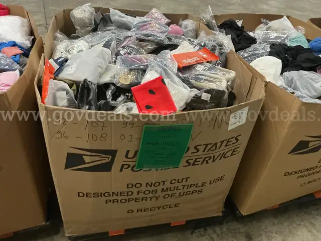 Apparel: Manually Sorted "Shoes, Handbags and Totes" (DEC25-1146X)