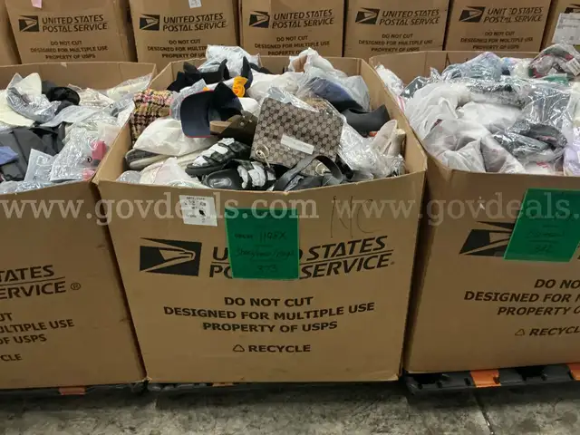 Apparel: Manually Sorted "Shoes, Handbags and Totes" (DEC25-1198X)