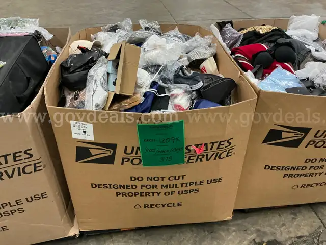 Apparel: Manually Sorted "Shoes, Handbags and Totes" (DEC25-1209X)