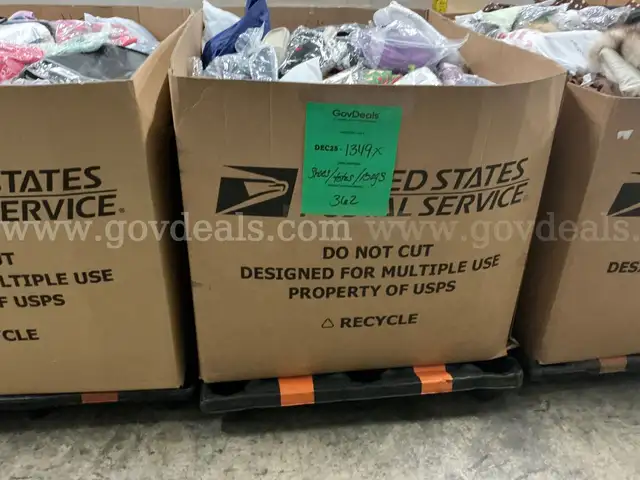 Apparel: Manually Sorted "Shoes, Handbags and Totes" (DEC25-1349X)