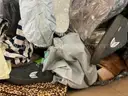 Apparel: Manually Sorted "Shoes, Handbags and Totes" (DEC25-1563X)
