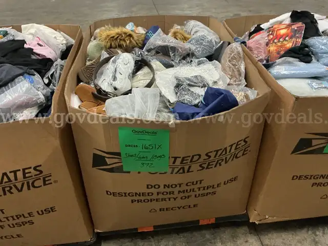 Apparel: Manually Sorted "Shoes, Handbags and Totes" (DEC25-1651X)