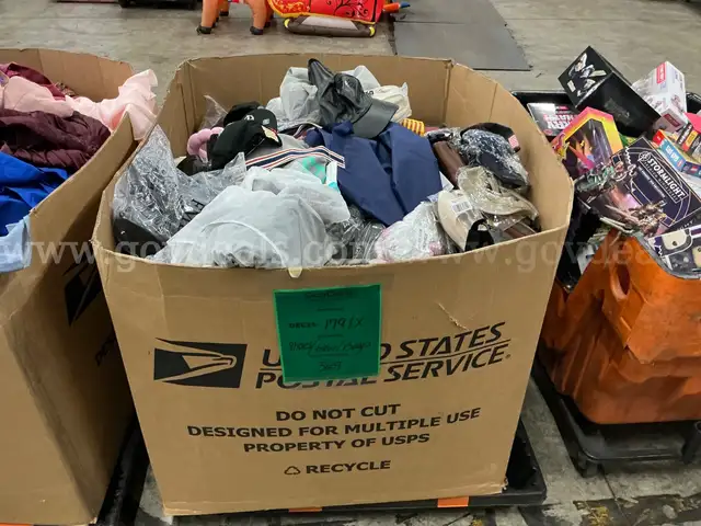 Apparel: Manually Sorted "Shoes, Handbags and Totes" (DEC25-1791X)