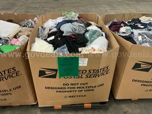 Apparel: Manually Sorted "Shoes, Handbags and Totes" (DEC25-1932X)