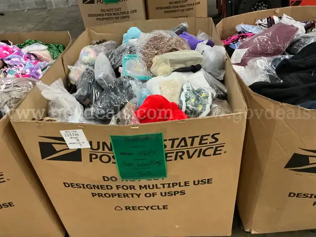 Apparel: Manually Sorted "Shoes, Handbags and Totes" (DEC25-1988X)