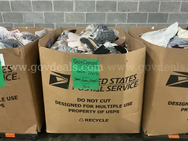 Apparel: Manually Sorted "Shoes, Handbags and Totes" (DEC25-2009X)