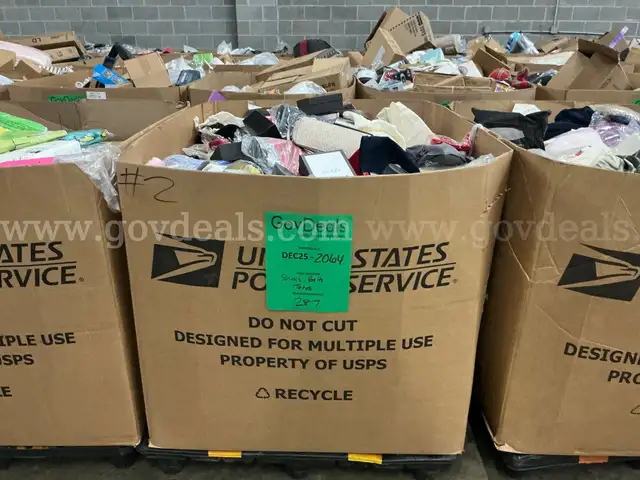 Apparel: Manually Sorted "Shoes, Handbags and Totes" (DEC25-2064X)