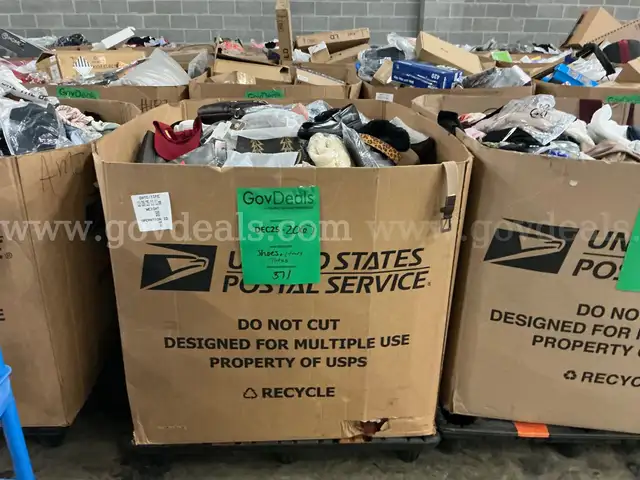 Apparel: Manually Sorted "Shoes, Handbags and Totes" (DEC25-2067X)