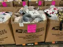 Apparel: Manually Sorted "Shoes, Handbags and Totes" (JAN26-0065X)