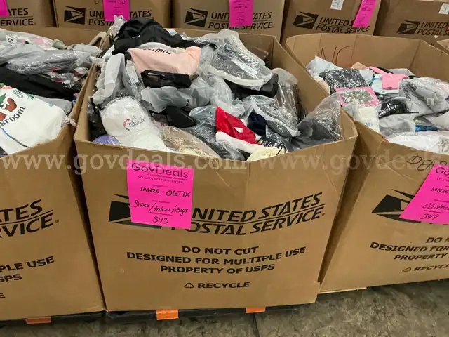 Apparel: Manually Sorted "Shoes, Handbags and Totes" (JAN26-0067X)