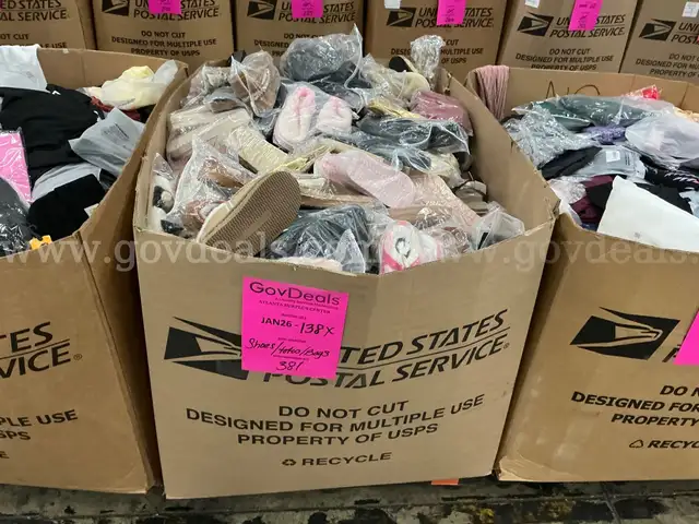 Apparel: Manually Sorted "Shoes, Handbags and Totes" (JAN26-138X)