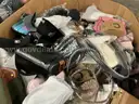 Apparel: Manually Sorted "Shoes, Handbags and Totes" (JAN26-216X)