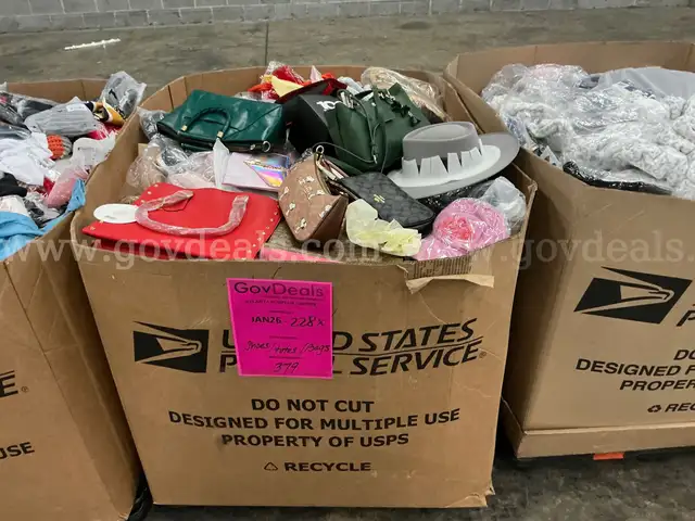 Apparel: Manually Sorted "Shoes, Handbags and Totes" (JAN26-228X)