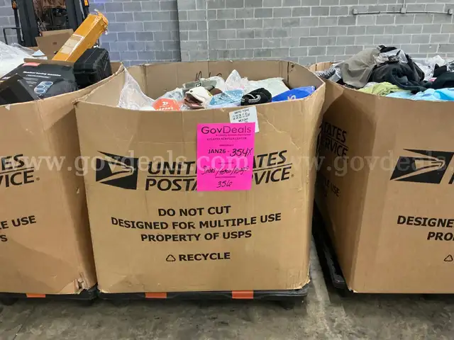 Apparel: Manually Sorted "Shoes, Handbags and Totes" (JAN26-354X)