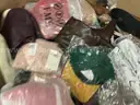 Apparel: Manually Sorted "Shoes, Handbags and Totes" (JAN26-0389X)