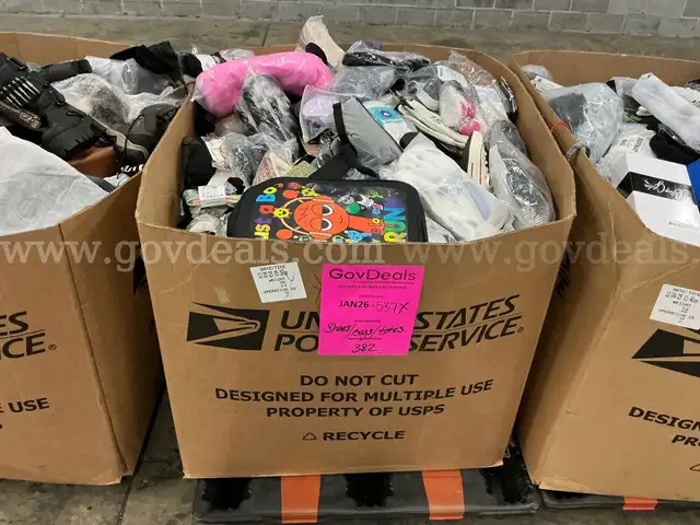 Apparel: Manually Sorted "Shoes, Handbags and Totes" (JAN26-0537X)