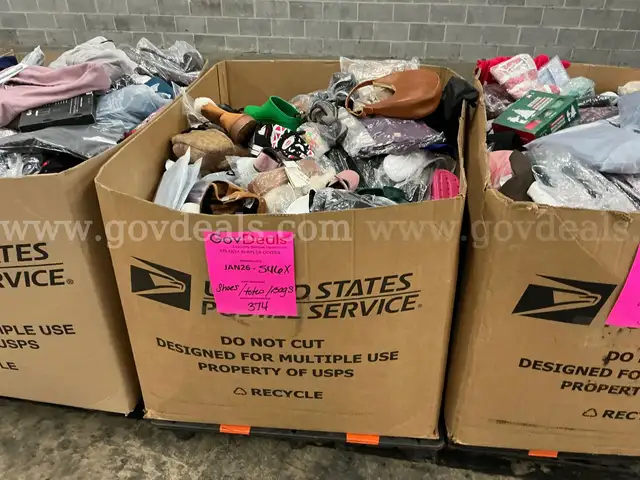 Apparel: Manually Sorted "Shoes, Handbags and Totes" (JAN26-0546X)