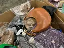 Apparel: Manually Sorted "Shoes, Handbags and Totes" (JAN26-0546X)