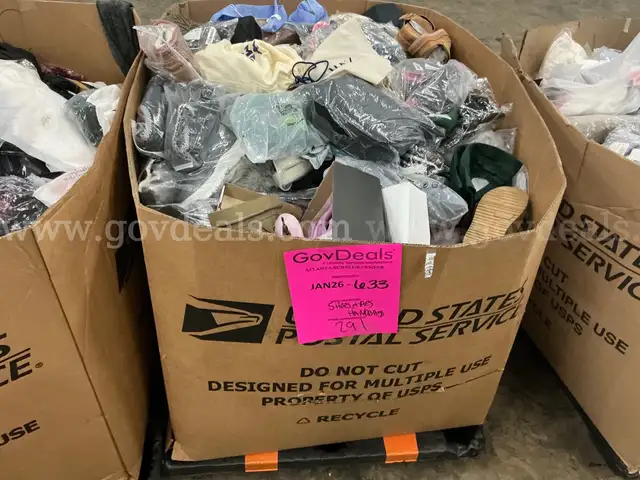 Apparel: Manually Sorted "Shoes, Handbags and Totes" (JAN26-0633X)