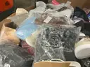 Apparel: Manually Sorted "Shoes, Handbags and Totes" (JAN26-0725)