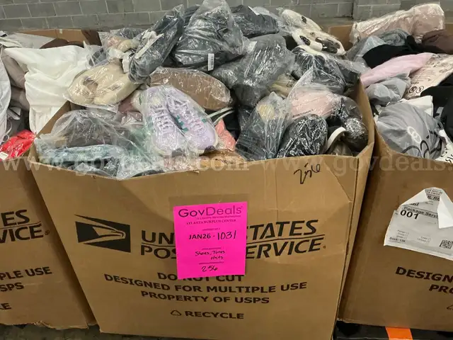 Apparel: Manually Sorted "Shoes, Handbags and Totes" (JAN26-1031X)