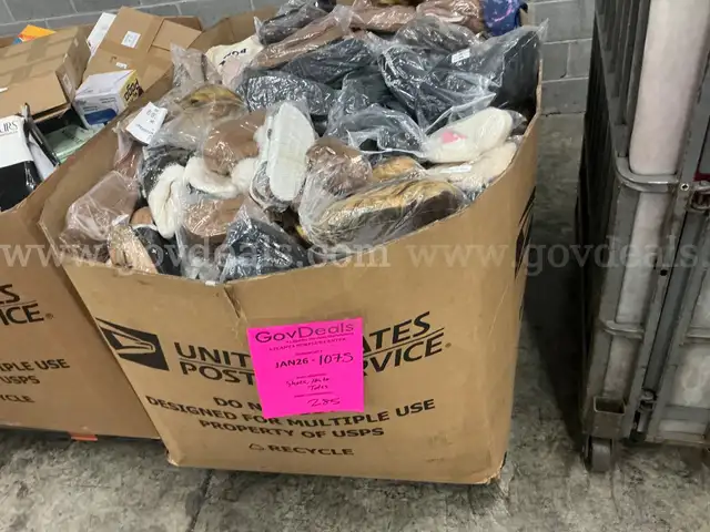 Apparel: Manually Sorted "Shoes, Handbags and Totes" (JAN26-1075X)