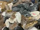 Apparel: Manually Sorted "Shoes, Handbags and Totes" (JAN26-1075X)