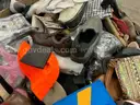 Apparel: Manually Sorted "Shoes, Handbags and Totes" (JAN26-1106X)