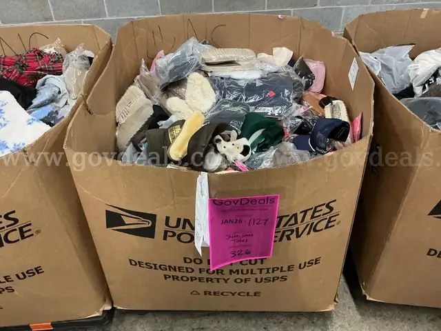 Apparel: Manually Sorted "Shoes, Handbags and Totes" (JAN26-1127X)