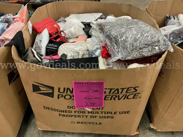 Apparel: Manually Sorted "Shoes, Handbags and Totes" (JAN26-1119)