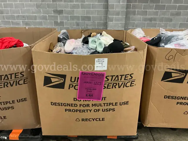 Apparel: Manually Sorted "Shoes, Handbags and Totes" (JAN26-1225)