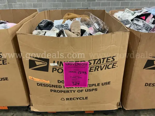 Apparel: Manually Sorted "Shoes, Handbags and Totes" (JAN26-1233)