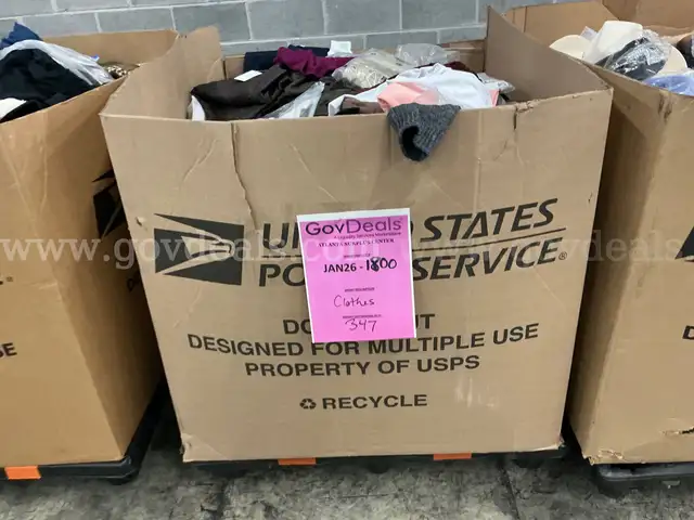 Apparel: Manually Sorted "Shoes, Handbags and Totes" (JAN26-1799X)