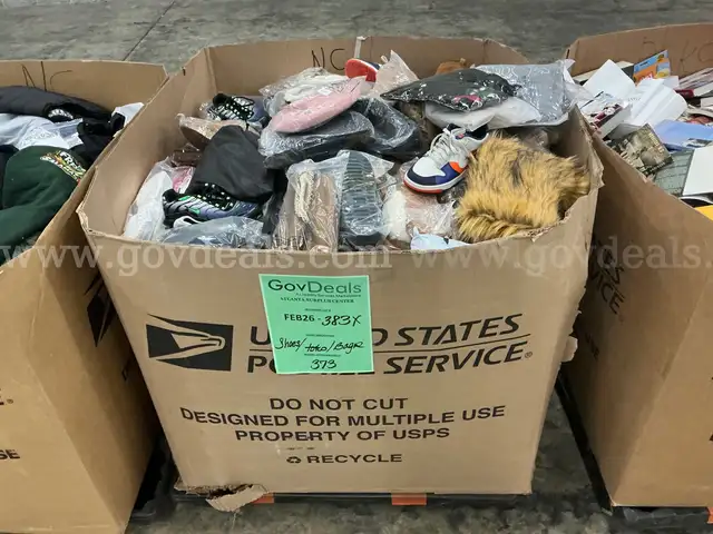 Apparel: Manually Sorted "Shoes, Handbags and Totes" (FEB26-0383X)