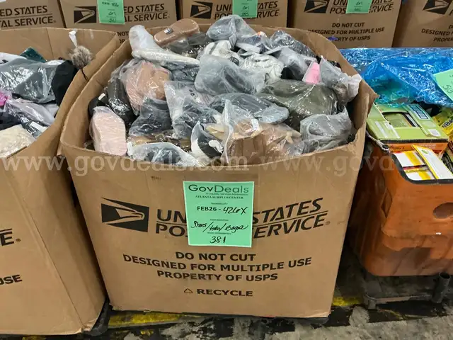 Apparel: Manually Sorted "Shoes, Handbags and Totes" (FEB26-0426X)