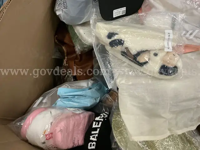 Apparel: Manually Sorted "Shoes, Handbags and Totes" (FEB26-0520X)