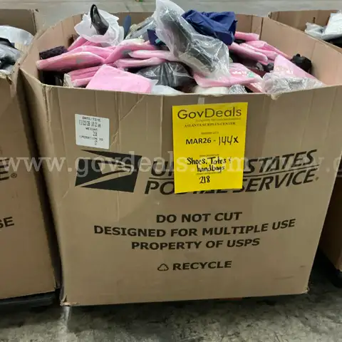 Apparel: Manually Sorted "Shoes, Handbags and Totes" (MAR26-0144X)