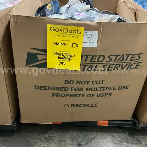 Apparel: Manually Sorted "Shoes, Handbags and Totes" (MAR26-0147X)