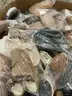 Apparel: Manually Sorted "Shoes, Handbags and Totes" (MAR26-0315X)