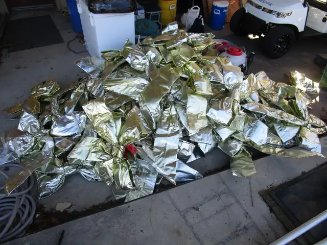 (47) USED GOLD HOLIDAY DECORATION BOWS