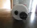 (8) UNUSED FILTERS FOR BUSES