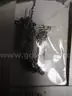 (3) USED RINGS AND (1) UNUSED NECKLACE