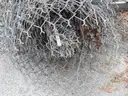 USED (6) BUNDLES OF CHAIN LINK OR CATTLE FENCING, (2) CHAIN LINK FENCING POSTS, (1) BOX OF ASSORTED FENCING HARDWARE