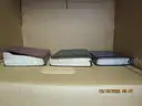 (3) USED HOLY BIBLES
