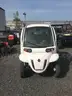 GEM ELECTRIC UTILITY CAR