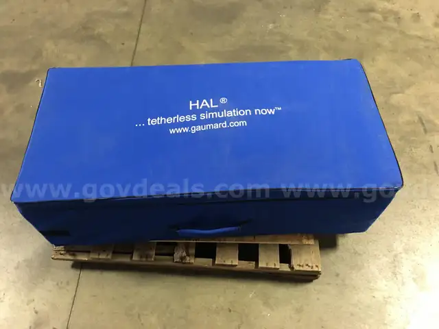 HAL MANNEQUIN